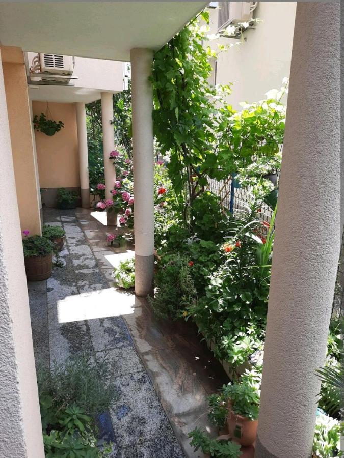 Hotel Vila Doris Baška Voda Exterior foto